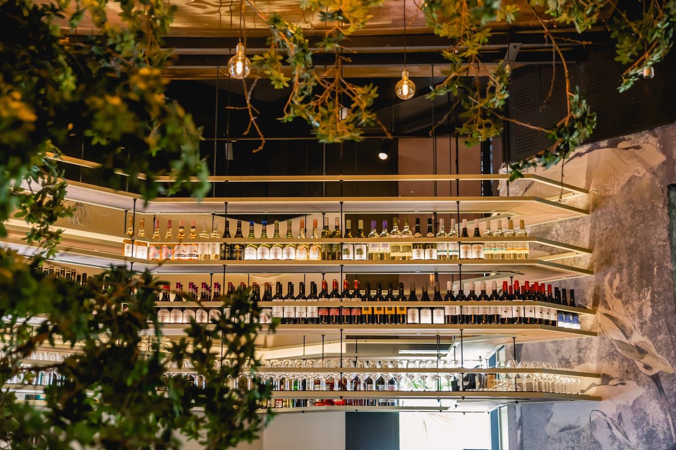 Wine shelves seen through the leaves of the indoor tree at Finca