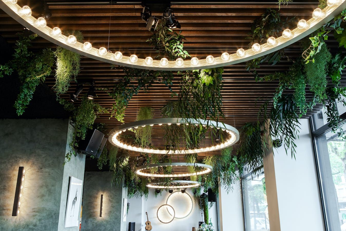 Ring lights with bulbs and trailing plants under a slatted timber ceiling