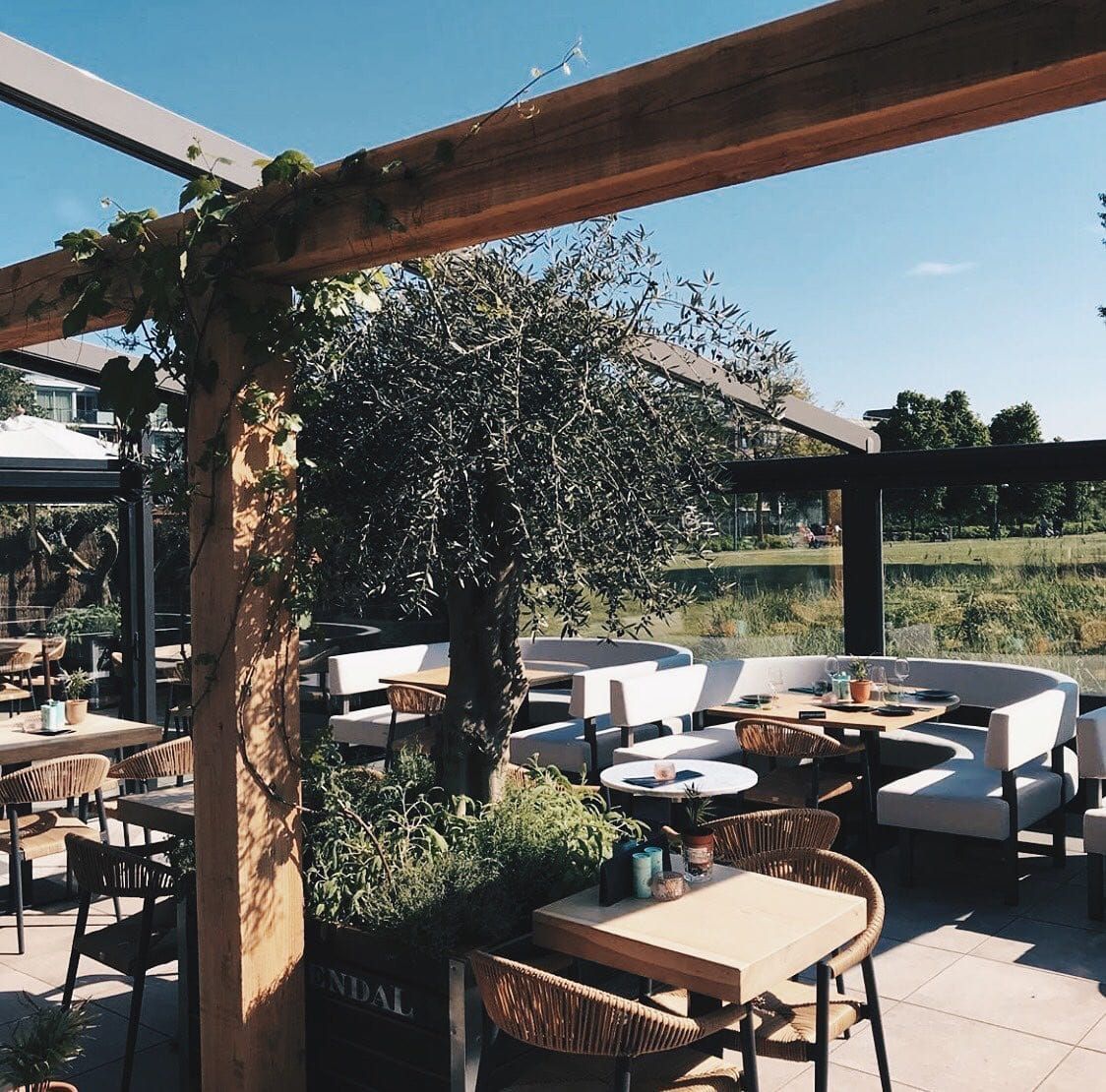 Sunny terrace with olive tree, timber beams and white lounge seating at Finca