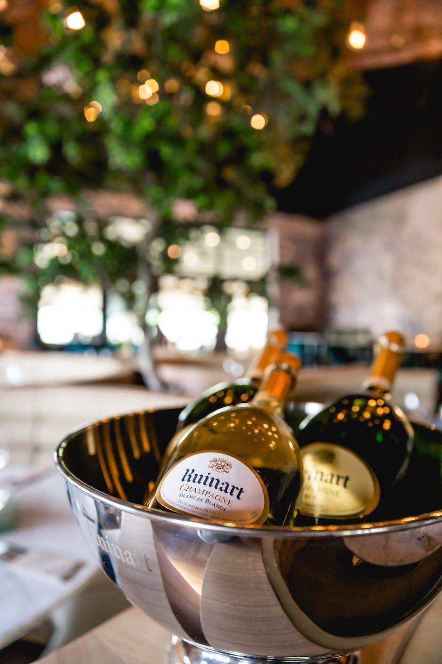 Champagne bottles in a steel cooler with the tree blurred behind at Finca