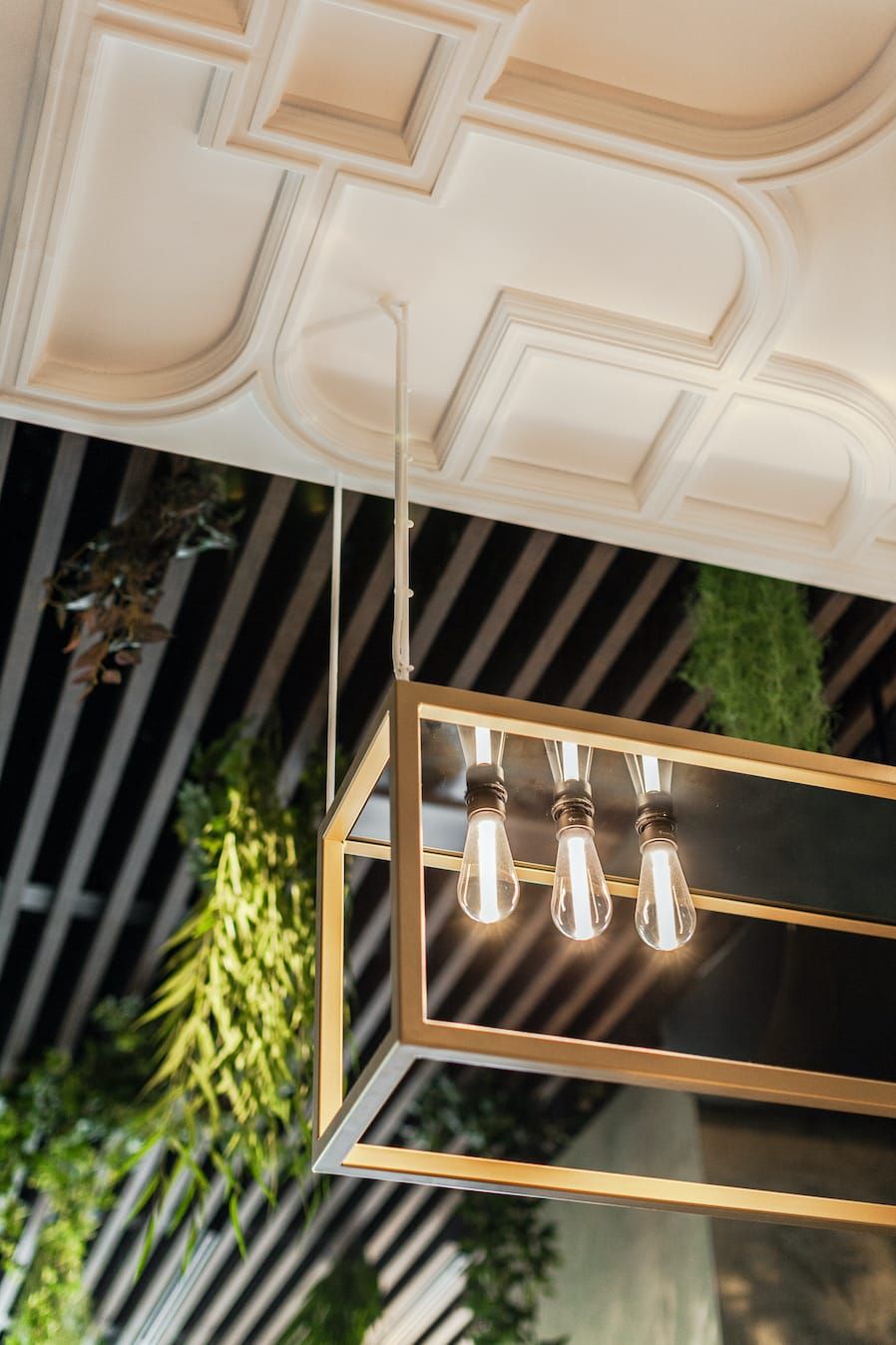 Brass framed pendant with filament bulbs under a plaster ceiling and plants